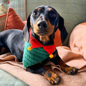 Crocheted Christmas Pet Bandana, 2 of 4