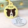 Border Collie Personalised Illustrated Dog Name Tag, thumbnail 10 of 12