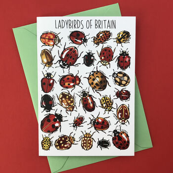 Ladybirds Of Britain Art Blank Greeting Card, 5 of 11