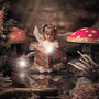 Magical Fairy And Elf Childhood Portrait Experience, thumbnail 1 of 10