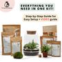 Closed Terrarium Kit With Live Plant | 'Luzern', thumbnail 4 of 10