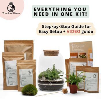 Closed Terrarium Kit With Live Plant | 'Luzern', 4 of 10
