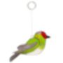 British Garden Birds Suncatcher, thumbnail 5 of 7