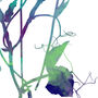 Sweet Peas No.One Limited Edition Giclee Print, thumbnail 2 of 2