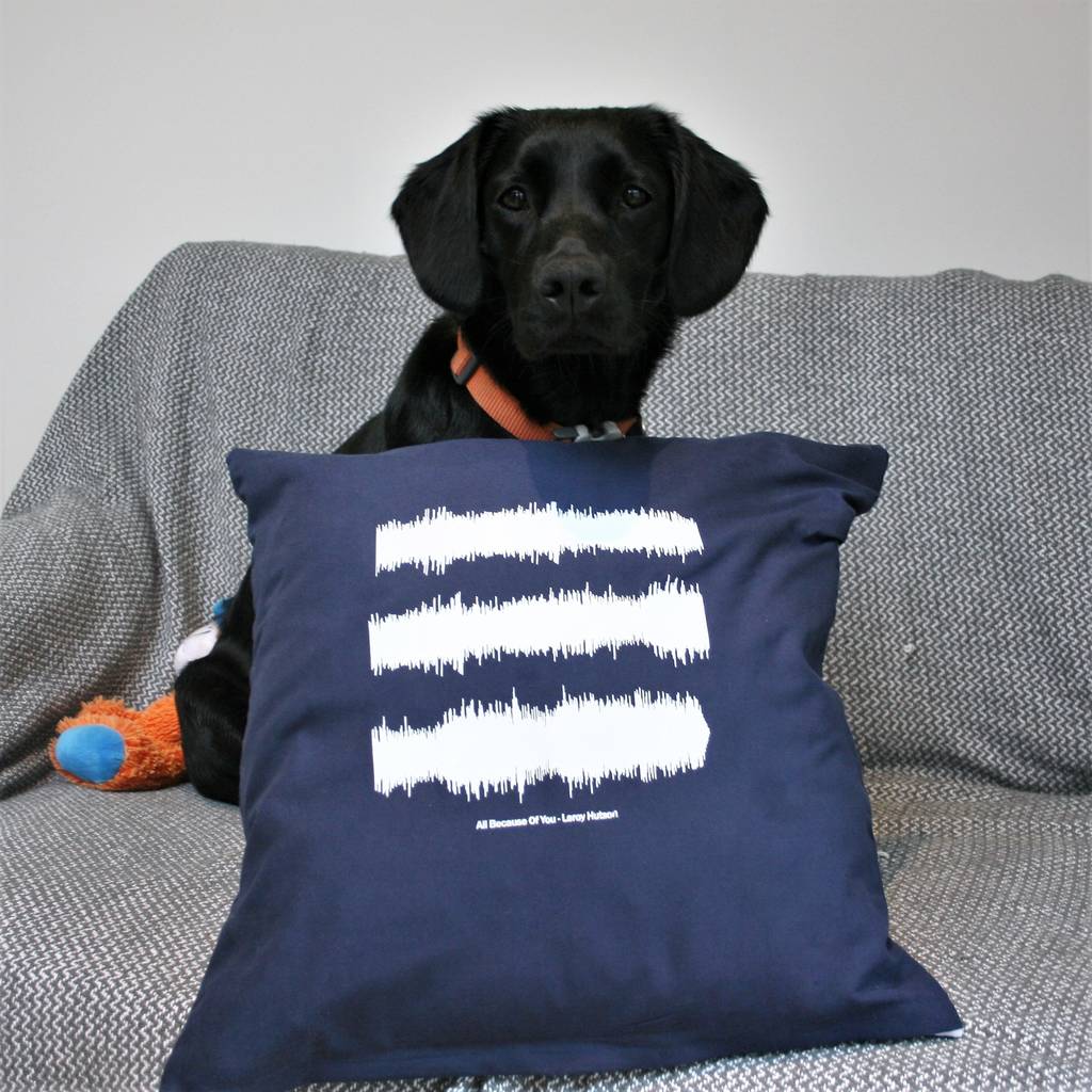 Personalised Sound Wave Cushion By Mixpixie Notonthehighstreet Com
