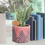 Personalised Pink Fern Bookend Planter, thumbnail 1 of 6