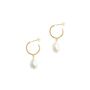 C Shape Hoop Earring With Fresh Water Pearl Drop, thumbnail 1 of 3