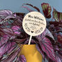 Personalised Teacher Plant Marker, thumbnail 2 of 4