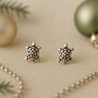 Sterling Silver Turtle Stud Earrings, thumbnail 1 of 7
