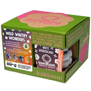 Wild Wintry Wonders Seedbom Gift Box, 2 of 9