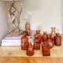 Set Of 10 Assorted Amber Glass Bottle Vases, thumbnail 2 of 3