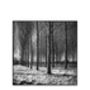 Trees, Beccles, Suffolk Photographic Art Print, thumbnail 3 of 4