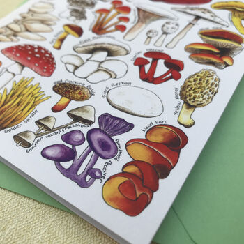 Mushrooms Of Britain Art Blank Greeting Card, 6 of 11