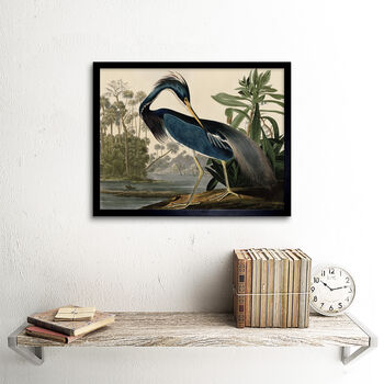 Audubon Birds Louisiana Heron Painting Wall Art Print, 2 of 3