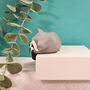 Sleeping Shelf Raccoon Grey, thumbnail 6 of 9