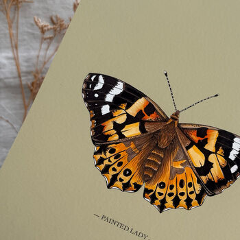 Vintage Feel Butterfly Art Print, 8 of 10