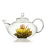 Prestige Glass Teapot 800ml, thumbnail 4 of 5