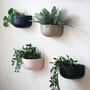 Ceramic 'Wide' Wall Planters, thumbnail 5 of 7