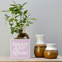 'Happy New Home' Positivity Plant Pot And Houseplant, thumbnail 1 of 7