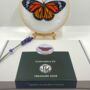Butterfly Embroidery Kit, Beginners Kit, thumbnail 7 of 9