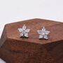 Uncoloured Forget Me Not Flower Cz Stud Earrings, thumbnail 1 of 11