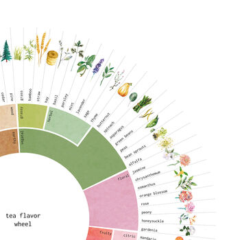 Tea Flavour Wheel Art Print, 3 of 6