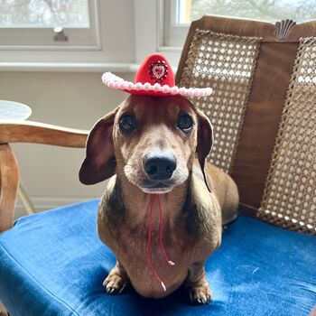Tiny Valentines Pet Cowboy Hat, 2 of 5