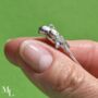 Parrot Sterling Silver Jewellery Charm, thumbnail 2 of 11