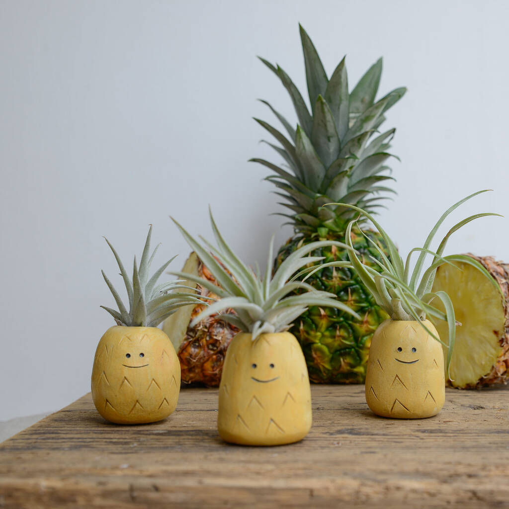 Pineapple Air Plant Holder Pot By Dartmoor Ceramics