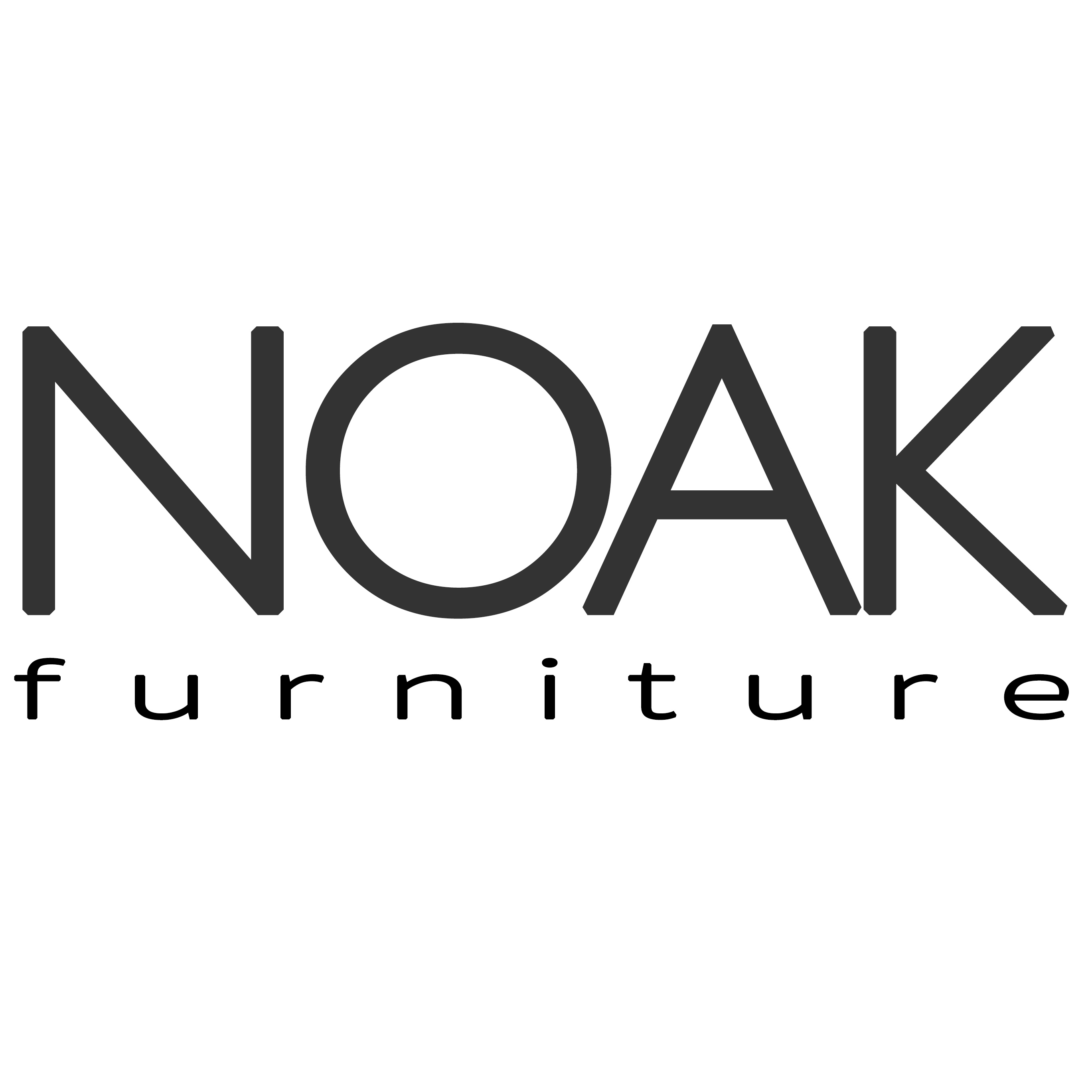 Noak Furniture Storefront