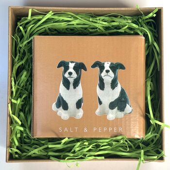 Border Collie Ceramic Salt And Pepper Shaker Set, 6 of 7