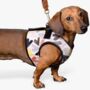 Neoprene Padded Hearts Dog Harness, thumbnail 2 of 6