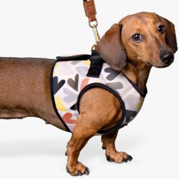 Neoprene Padded Hearts Dog Harness, 2 of 6