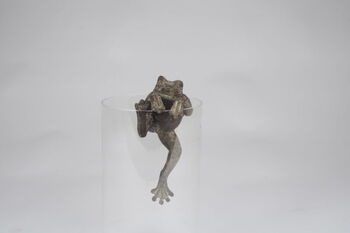 Indoor/Outdoor Attractive Frog Pot Hanger, 2 of 2