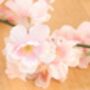 Cherry Blossom Garland For Teepees, thumbnail 5 of 6