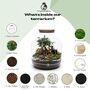 Xl Terrarium Kit | 'Nagoya', thumbnail 11 of 12