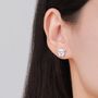 Sterling Silver Cute Bulldog Stud Earrings, thumbnail 7 of 12