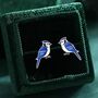 Blue Jay Sterling Silver Stud Earrings, thumbnail 1 of 11