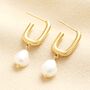Stainless Steel Rectangular Drop Earrings In Gold, thumbnail 1 of 2