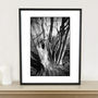 Shadowed Tree, Suffolk Photographic Art Print, thumbnail 1 of 4