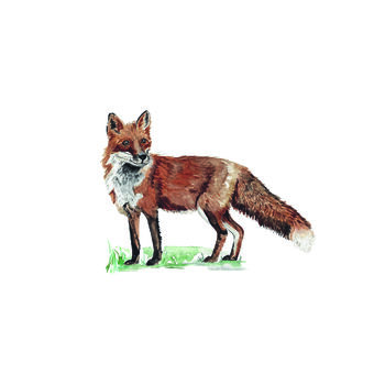 Watercolour Fox Greetings Card, 3 of 3