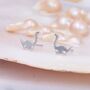 Sterling Silver Plesiosaurus Dinosaur Stud Earrings, thumbnail 3 of 11