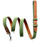 Green Leather Dog Lead, thumbnail 1 of 6