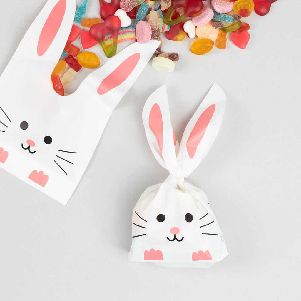 Set Of 10 Childrens Party Bags By Hayley & Co | notonthehighstreet.com