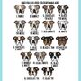 English Bulldog Children T Shirt, thumbnail 8 of 8