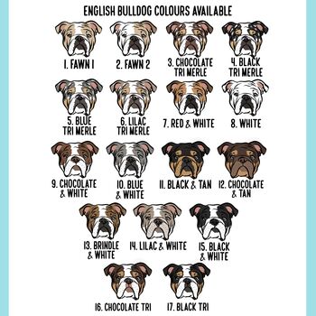 English Bulldog Children T Shirt, 8 of 8