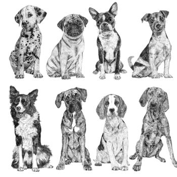 Mini Dog Collection Print, 4 of 4