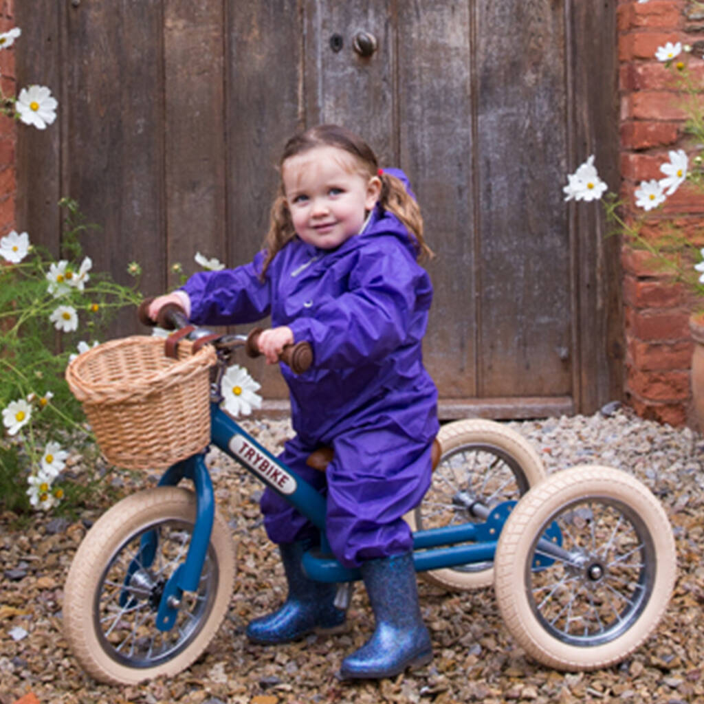 2 in 1 trike and balance bike