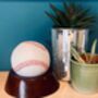 Leather Baseball With Wooden Stand, thumbnail 8 of 9