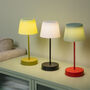 Table Lamp Tall LED Usb Rechargeable Use Anywhere, thumbnail 1 of 12